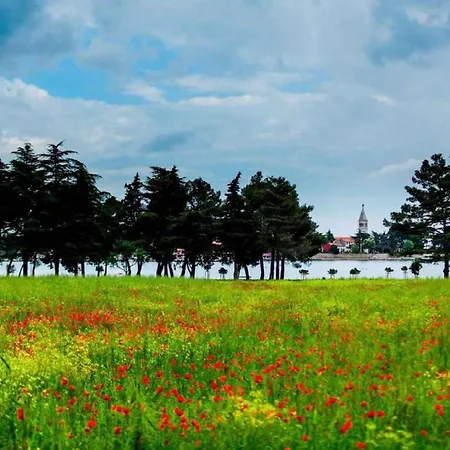 Nova Vas/porec 2 Nova Vas (Porec)